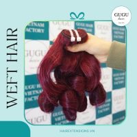 Raw Vietnamese Curly Hair Weft Extensions