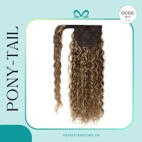 Pony Tail Hair Extensions