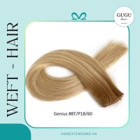 22 weft Hair Extensions