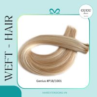 22 weft Hair Extensions