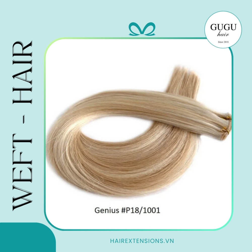 22 weft Hair Extensions