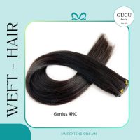 22 weft Hair Extensions