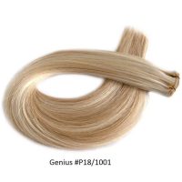 Genius Wefts Hair Extensions
