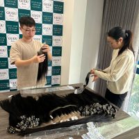 Best Raw Vietnamese Hair Vendors
