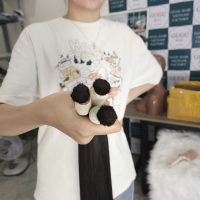 Vietnamese Bulk Hair Bone Straight Natural Color- GUGU HAIR