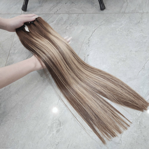 Highlight BundlesStraight Human Hair Bundles