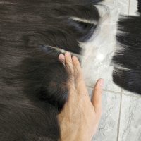 Human Hair Wigs - Lace Closure Wigs - GUGU HAIR