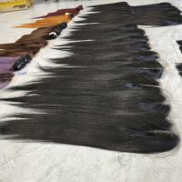 Human Hair Wigs - Lace Closure WigS