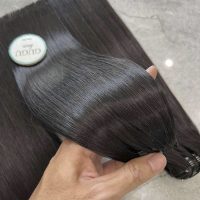 undles Straight Vietnamese Hair With Closure 5x5