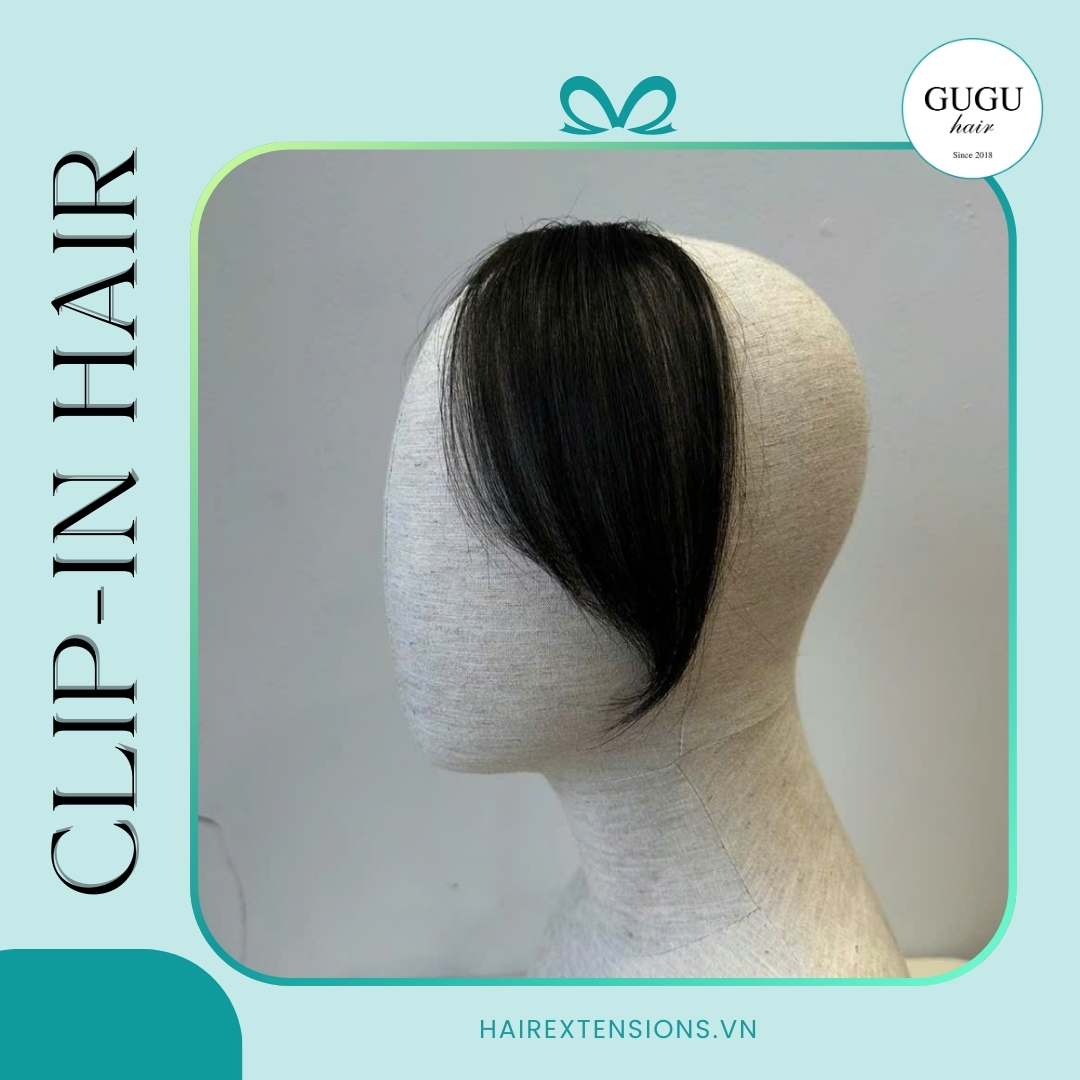 Natural Clip-In Bangs Hair Extensions – 100% Real Human Hair Fringe 1 Clip In Hair Extensions Bangs – Real Human Hair Bangs by GUGU HAIR