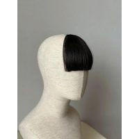 Clip In Bangs Human Hair