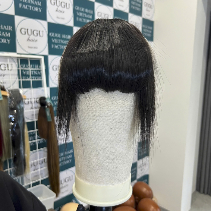 Clip-In Fringe Hair Extensions