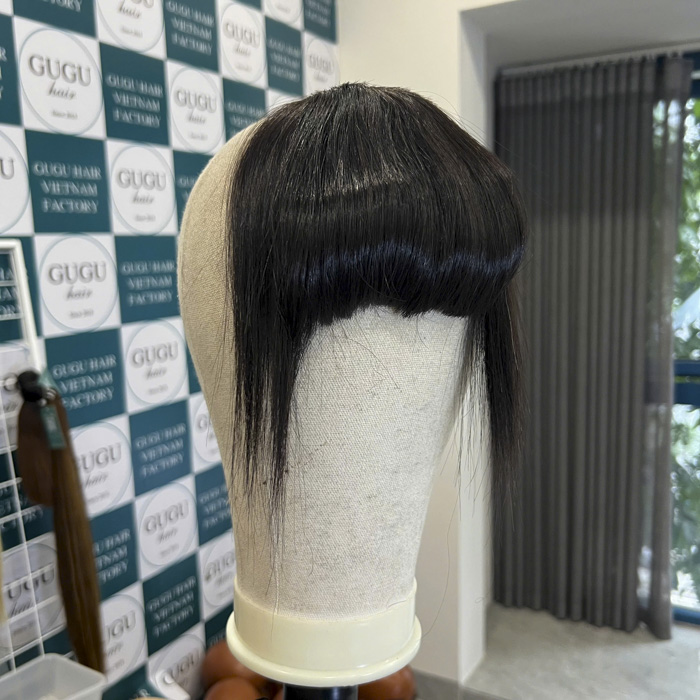 Clip-In Fringe Hair Extensions