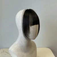 Clip In Hair Extensions Bangs – Real Human Hair Bangs by GUGU HAIR