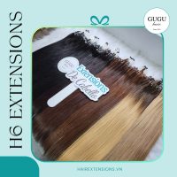 Vietnamese Bone Straight H6 Feather Hair Extensions in Dark Brown – Factory Wholesale 2 H6 Feather Hair Extensions