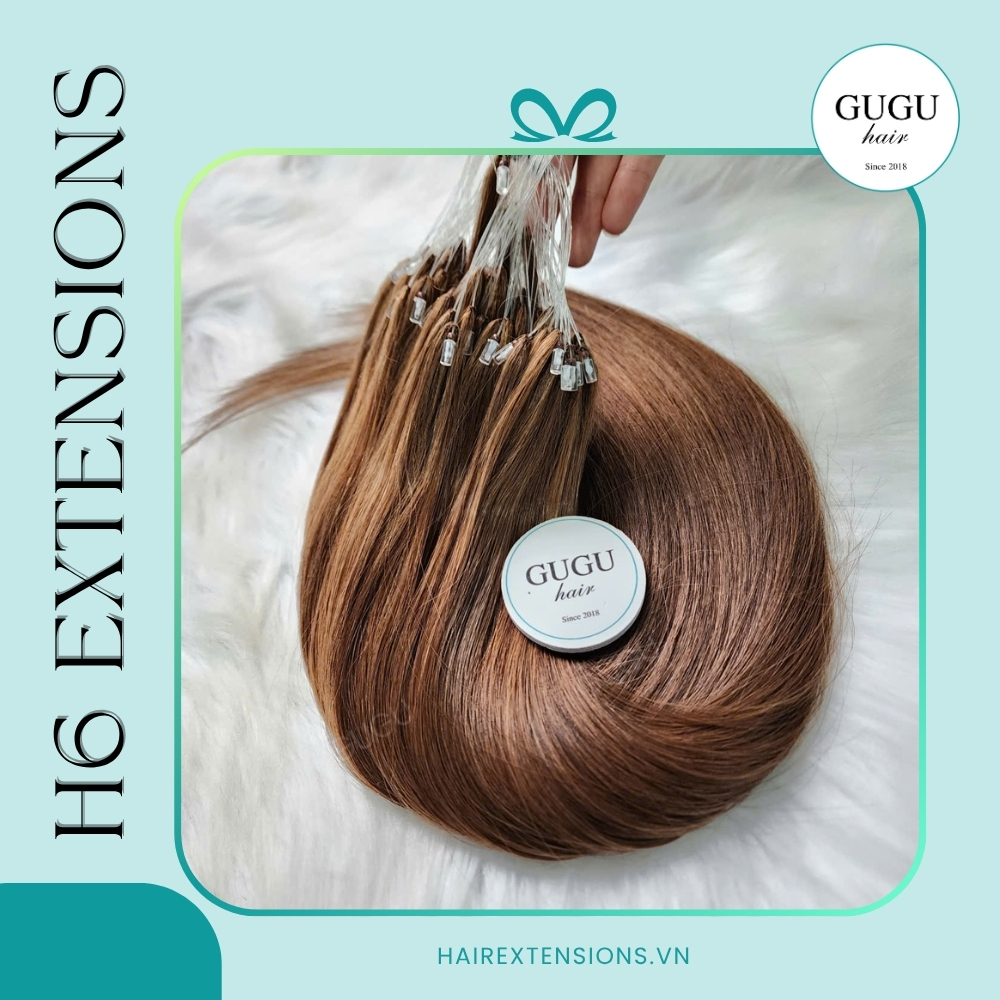 H6 Feather Hair Extensions