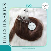 H6 Feather Hair Extensions