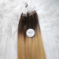Vietnamese H6 Feather Hair Extensions Color #613 – 100% Human Hair Bone Straight 4 H6 Feather Hair Extensions #4/27 Ombre Brown to Blonde