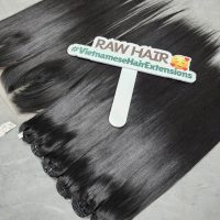 bone straight human hair bundles 10