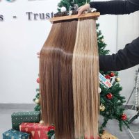 Color #6 Straight Hair Wefts | Premium Raw Vietnamese Human Hair 3 Premium Machine Bone Straight Hair Weft (