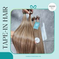 Raw Vietnamese Human Hair Tape Extensions