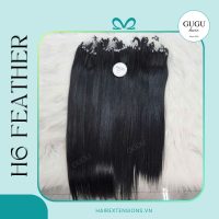 H6 Feather Hair Extensions Factory