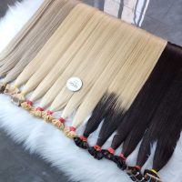 Premium Hair Extension Collection Raw Vietnamese Hair