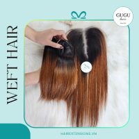 Ombre Straight Weft Hair Vietnamese Human Hair - Caramel Brown