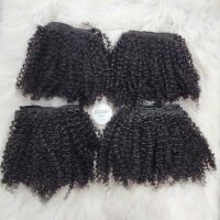 Afro Kinky Curly Bundles Human Hair