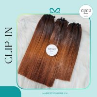 Single Drawn Bone Straight Vietnam Hair Clip-in | Ombre Hair