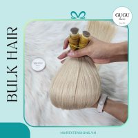 Platinum Blonde Raw Vietnamese Hair Extensions