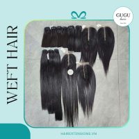 Straight Vietnamese Human Hair Weft Extensions