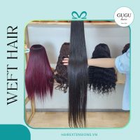 Bone Straight Human Weft Hair Extensions – Best Vietnamese Raw Human Hair Extensions Supplier
