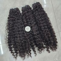 Natural Black Colored Burmese Curly Bundles 26 Inches Raw Vietnamese Hair Premium Quality