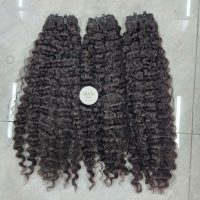 Natural Black Colored Burmese Curly Bundles 26 Inches Raw Vietnamese Hair Premium Quality